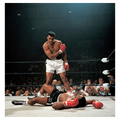 Muhammad Ali vs. Sonny Liston II, 1965