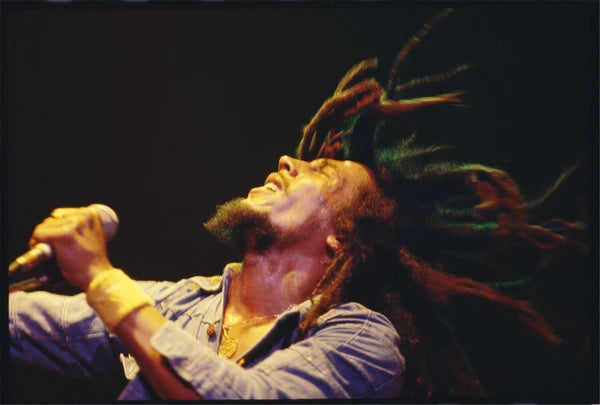 Bob Marley, Flying Dreads, Hammersmith Odeon, London, 1976