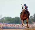 Secretariat, 1973 Kentucky Derby