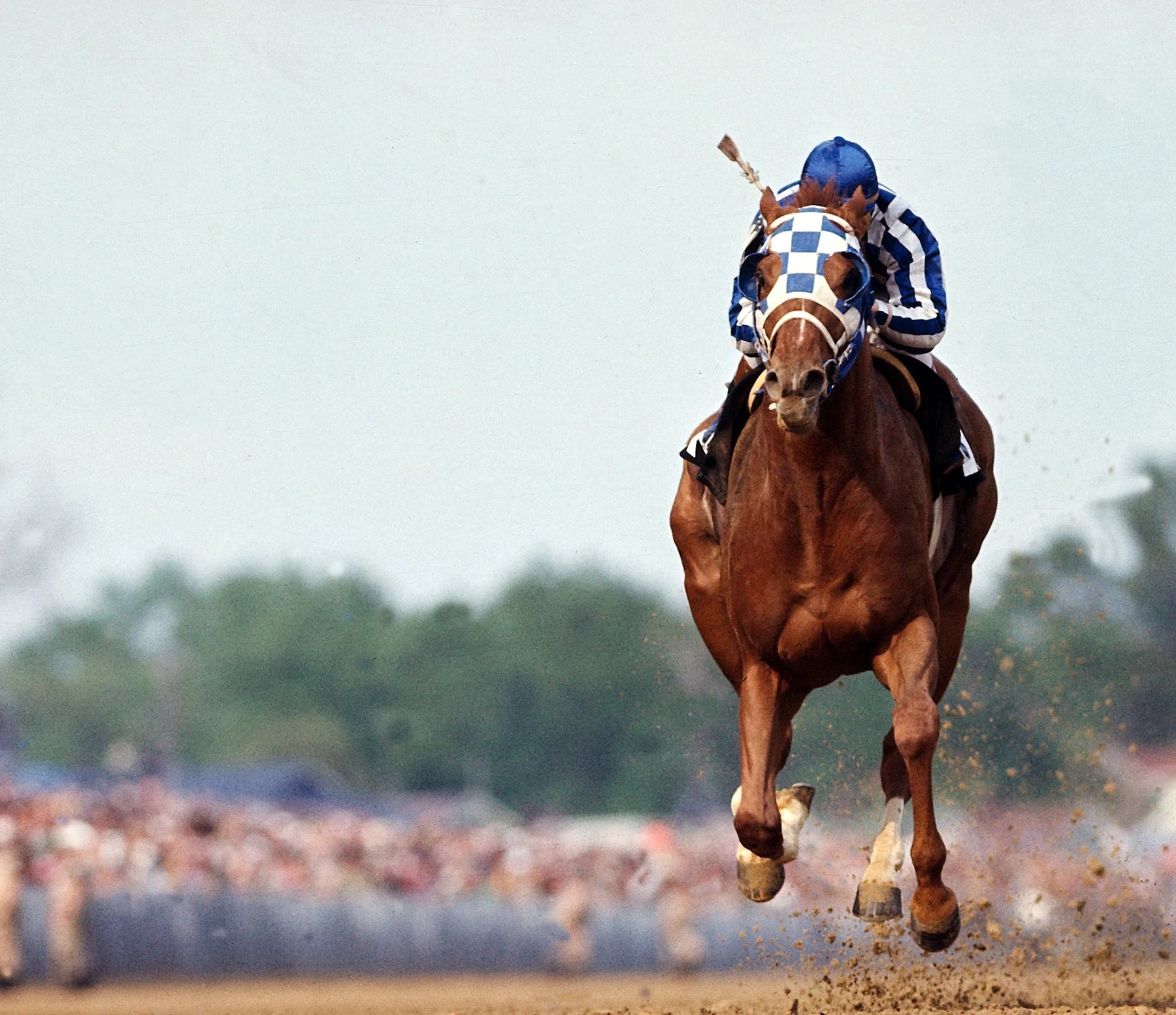 Secretariat, 1973 Kentucky Derby