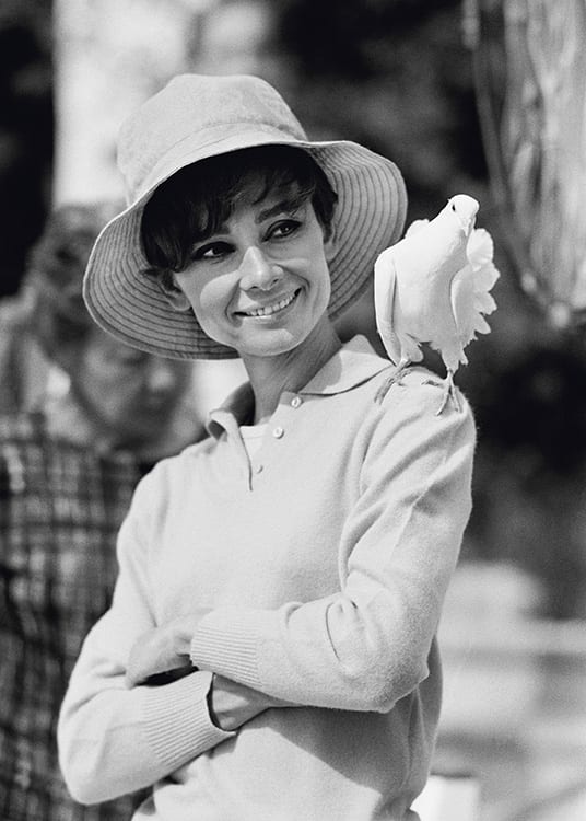 Audrey Hepburn Smiling with Dove, 1967