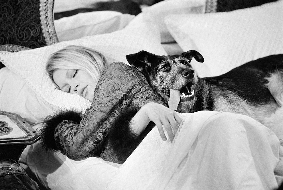 Brigitte Bardot with dog, on set of Les Novices