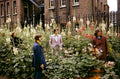 The Beatles, Mad Day Out Behind the Scenes, London, 1968