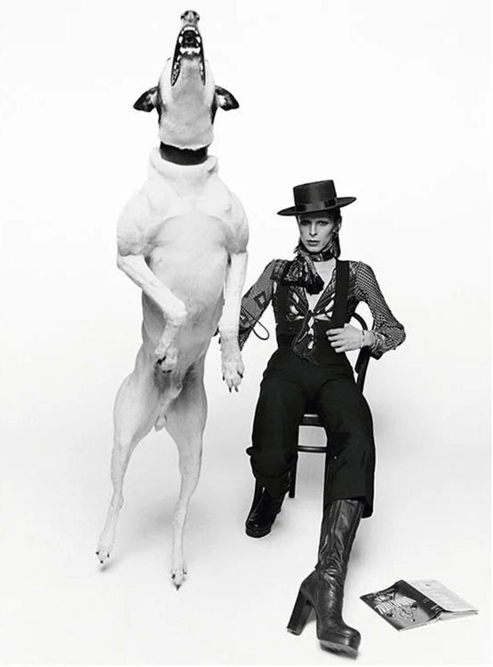 David Bowie, Diamond Dogs, 1974