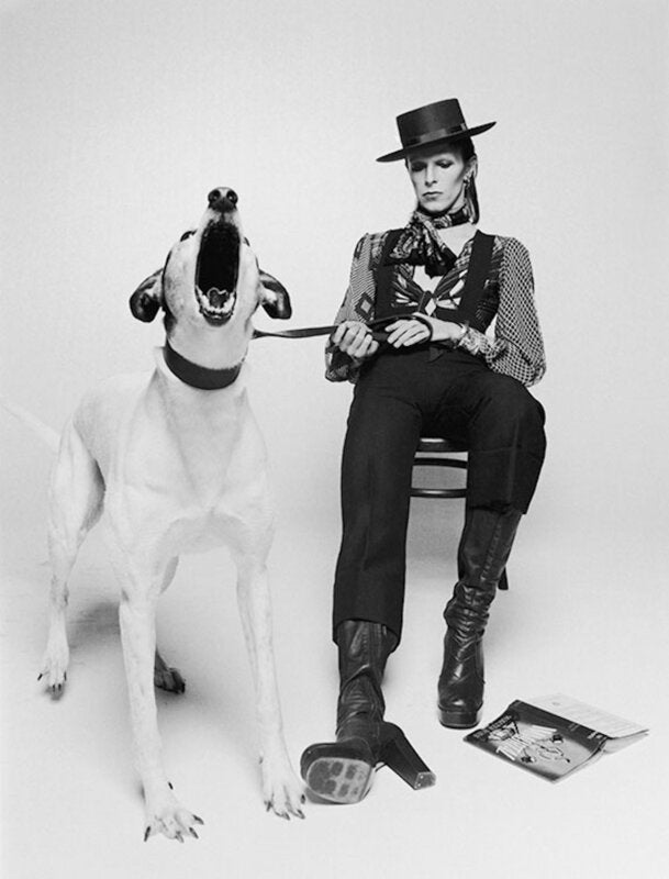 David Bowie, Diamond Dogs, 1974 - Alternative